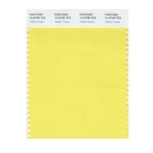  PANTONE SMART 12 0738X Color Swatch Card, Yellow Cream 