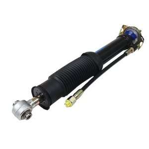  Sachs Rear Complete Strut Automotive