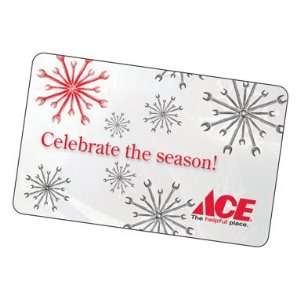  Wildcard Systems ACE GC09 2009 Holiday Gift Card (pack of 