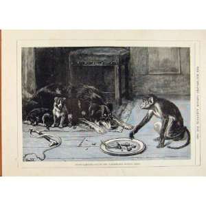   London Almanack Petty Larceny Monkey Eating Dog Food: Home & Kitchen