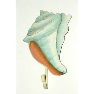  Conch Shell Wall Hook in Painted Metal