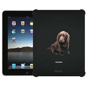   Sussex Spaniel on iPad 1st Generation XGear Blackout Case Electronics