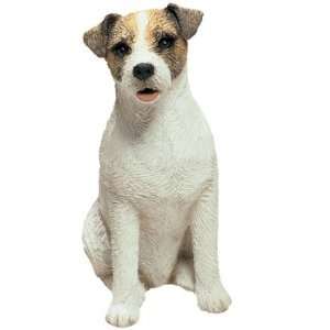  Jack Russell Terrier   Mid Size: Everything Else
