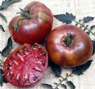 Cherokee Purple Tomato 4 Plants   ORDER NOW  