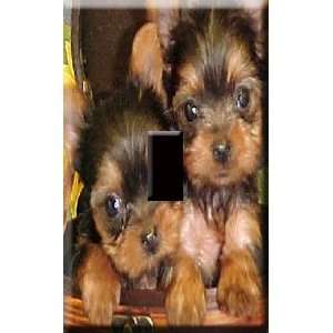 Yorkie Puppies Decorative Single Light Switchplate Cover:  