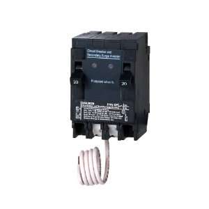   Surge Protection with Two 20 Amp Circuit Breakers: Home Improvement