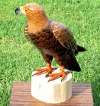 am so confident of the quality of this natural looking GOLDEN EAGLE 