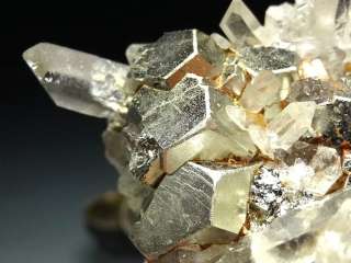 Big Spruce Claim Quartz & Pyrite Crystal Cluster  