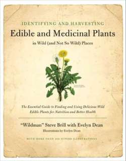   36 Healing Herbs The Worlds Best Medicinal Plants 