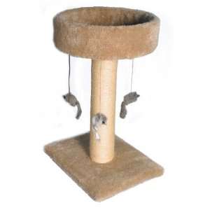    Cat Furniture   KIT KITTY MERRY GO ROUND: Health & Personal Care