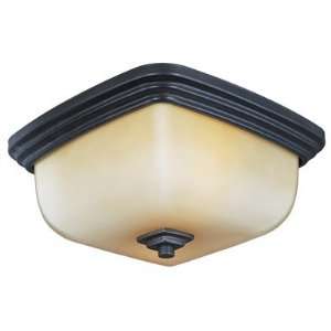  8572 88 World Import Galway Collection lighting