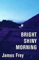   Bright Shiny Morning by James Frey, HarperCollins 