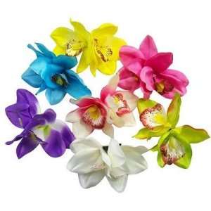    NEW DOZEN Orchid Flower Hair Clips   Wholesale, Limited.: Beauty
