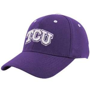  the World Texas Christian Horned Frogs (TCU) Youth Purple Basic Logo 