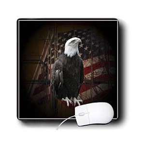  Beverly Turner Photography   Bald Eagle with American Flag 