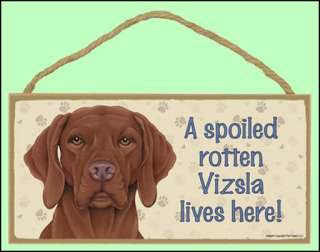 Spoiled Rotten Vizsla 10 x 5 Lives Here Dog Sign  