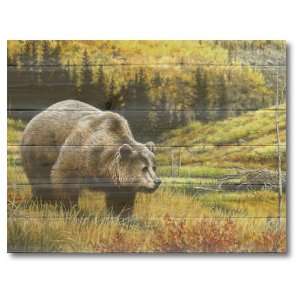  Wood Graphixs Inc. Rocky Mountain Grizzly Wall Art