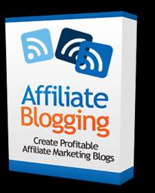   building highly profitable affiliate marketing blog with WordPress