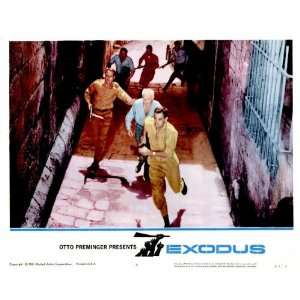  Exodus Movie Poster (11 x 14 Inches   28cm x 36cm) (1961 