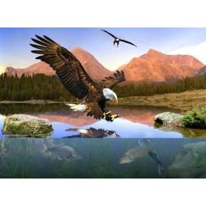  Bald Eagle Fishing ~ Wooden Jigsaw Puzzle: Toys & Games