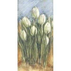   Tulip Fields   Poster by Tina Chaden (6x12)