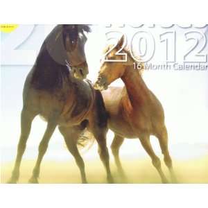  Horses 2012 16 Month Calendar Regent Products Books