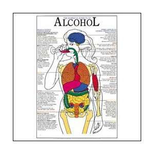 Harmful Effects Of Alcohol Anatomical Chart Laminated:  