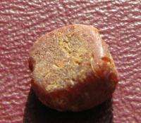 AUTHENTIC Ancient Artifact   AMBER BEAD 6268  