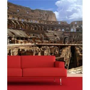   Mural Decal Sticker Roman Colosseum Interior JH105: Everything Else