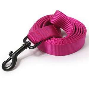  Solid Color Nylon Dog Leash 5/8X5FT LIME: Pet Supplies