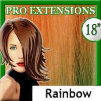 Rainbow Clip In Human Hair Extensions highlight  