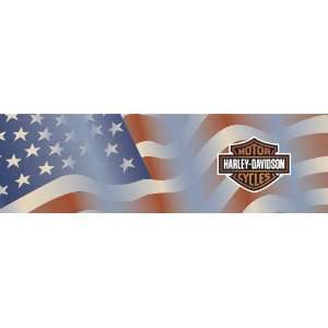  Vantage Point Americana Harley Davidson Window Graphics 