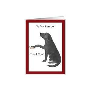 Thank You to Dog Rescue   Black Lab Dog Puts Paw in Hand 