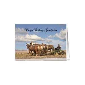  Grandfather birthday, Amish farmer plowing with horses 