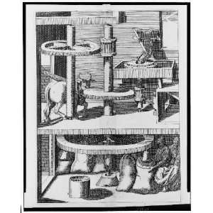  Ox powered machine for grinding or milling grain,1617 