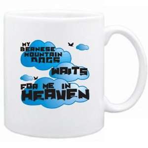   Bernese Mountain Dogs Waits For Me In Heaven  Mug Dog: Home & Kitchen