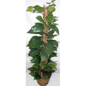  4 Vining Silk Philodendron Floor Plant