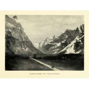   Roadway Landscape Norway   Original Halftone Print