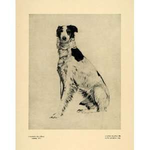  Animal Sitting Paws Spots   Original Halftone Print