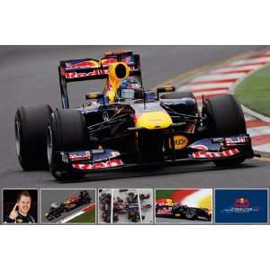  Car Posters Red Bull   Vettel   23.8x35.7 inches