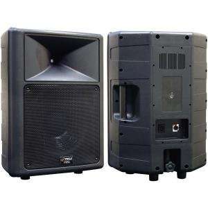 Pyle Pro Pphp1259 500 Watt 12 2 Way Molded Speaker Cabinet (Speakers 