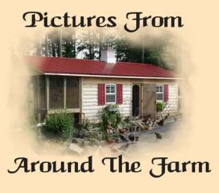 We hope you enjoy some pictures from around the farm~