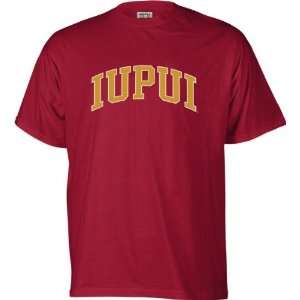IUPUI Jaguars Kids/Youth Perennial T Shirt  Sports 