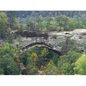  Natural Arch, Daniel Boone National Forest, Whitley City 