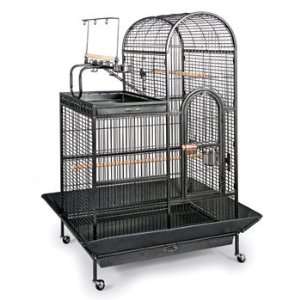  Prevue Deluxe Parrot Dometop Cage with Playtop   3159 Pet 