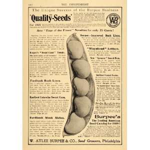 1909 Ad W, Atlee Burpee Seed Growers Philadelphia PA   Original Print 