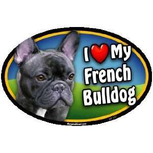    Oval Car Magnet   I Love My French Bulldog