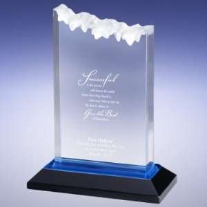  Successories Blue Summit Reflection Award