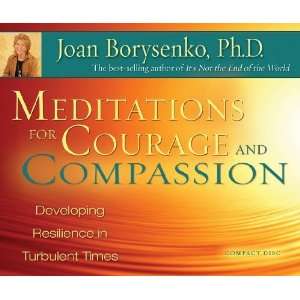   Resilience in Turbulent Times [Audio CD] Joan Borysenko Ph.D. Books