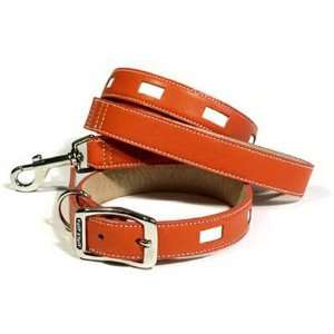  Manhattan Collection Dog Collars   2 colors